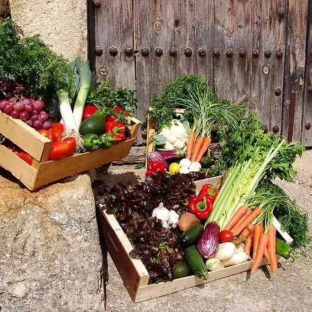 Ξενοδοχείο La Tinensa *