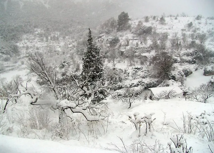 La Tinensa *